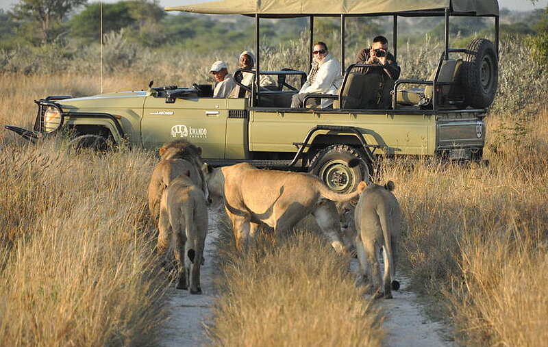 Selbstfahrertour Namibia und Botswana - Etosha bis Okavango