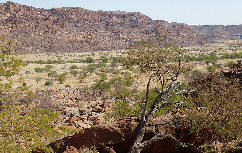 Privatreise Entspannt durch Namibia