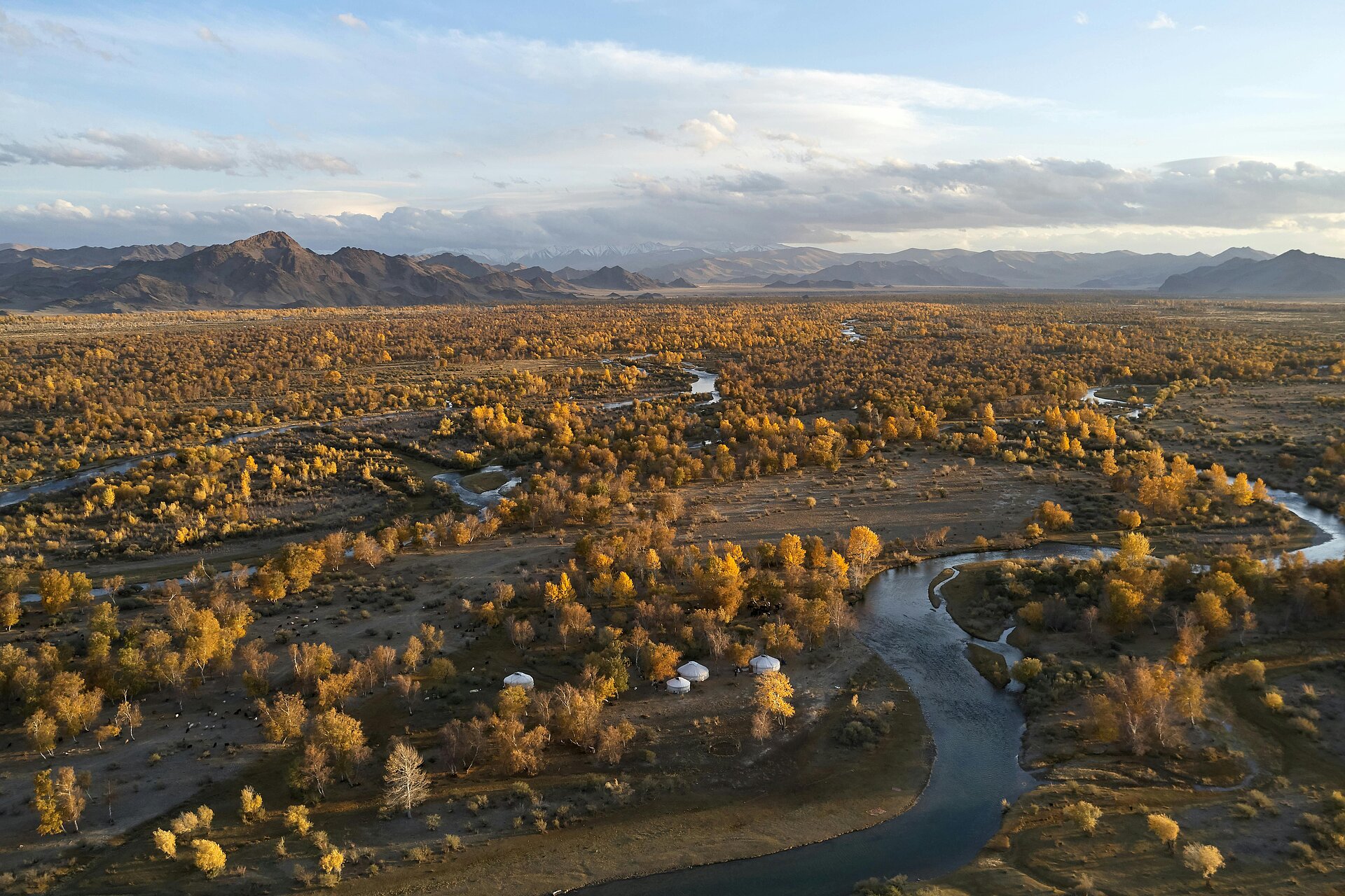 Fluss schlängelt sich durch Steppe mit lichtem Wald - Berge in der Ferne der Mongolei