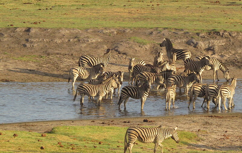 Namibia-Botswana Explorer