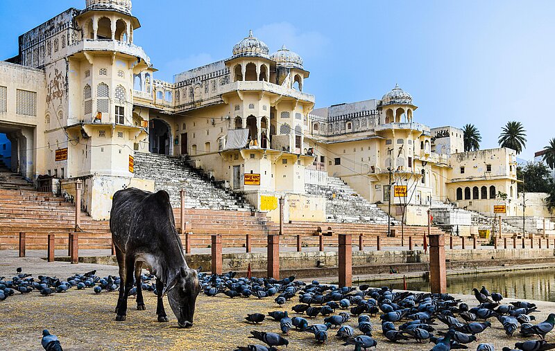 Privatreise Indien - Verstecktes Rajasthan