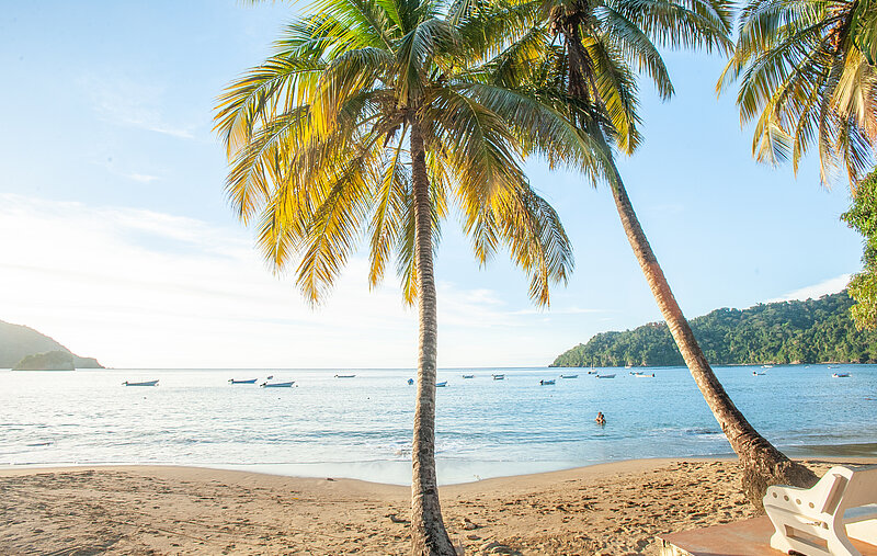 Selbstfahrer Tour Tobago - Flucht in die Karibik