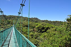 Hängebrücken Skywalk über die Bäume in Monteverde