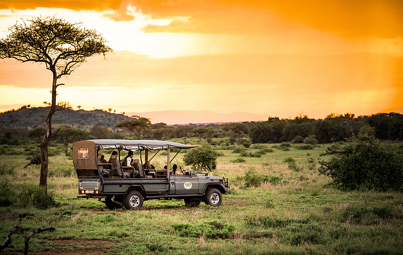 Privatreise Tansania – Safari Pur