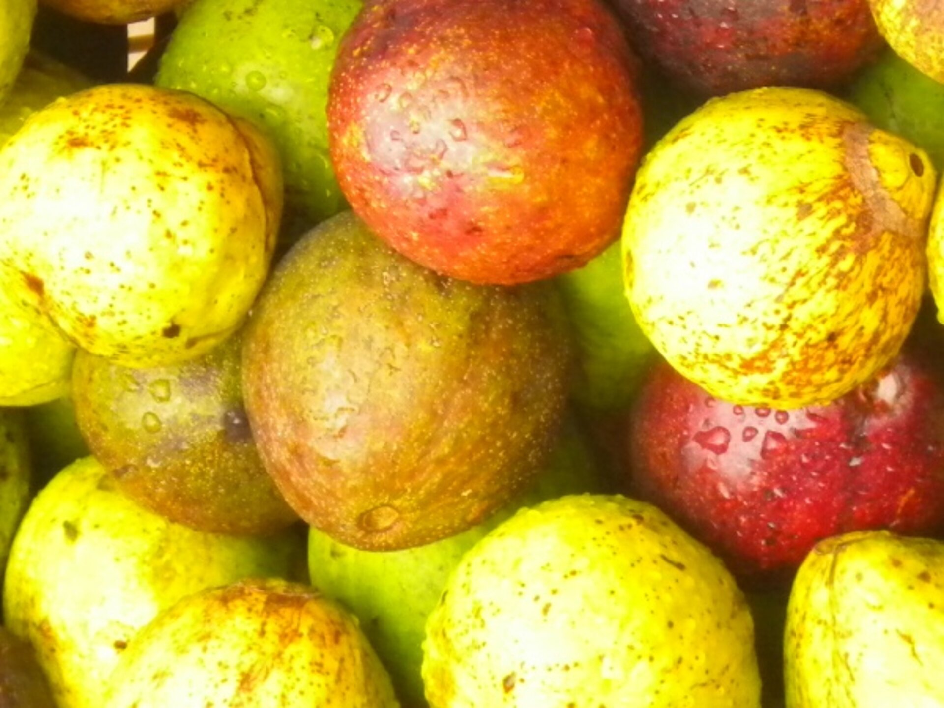 Bunte Äpfel auf La Reunion