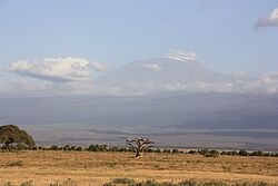 Hinter der Steppe des Amboseli Parks erhebt sich der schneebedeckte Kibo - der Kilimanjaro in Tansania