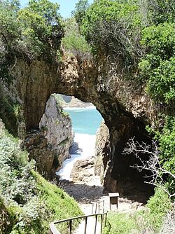 Eine Höhle auf Meeresniveau im Fetherbed Nationalpark an der Gardenroute in Südafrika
