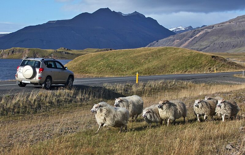 Selbstfahrertour Island für Genießer