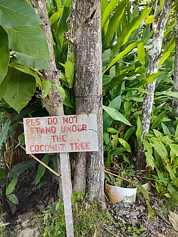 Belize Spice Farm and Botanical Garden