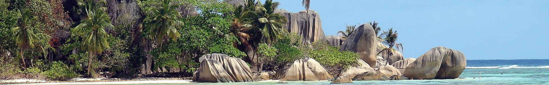 Strand mit Felsen und Palmen