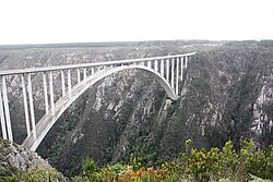 Die Bloukrans Bridge überspannt eine Schlucht im Tsitsikamma Nationalpark.