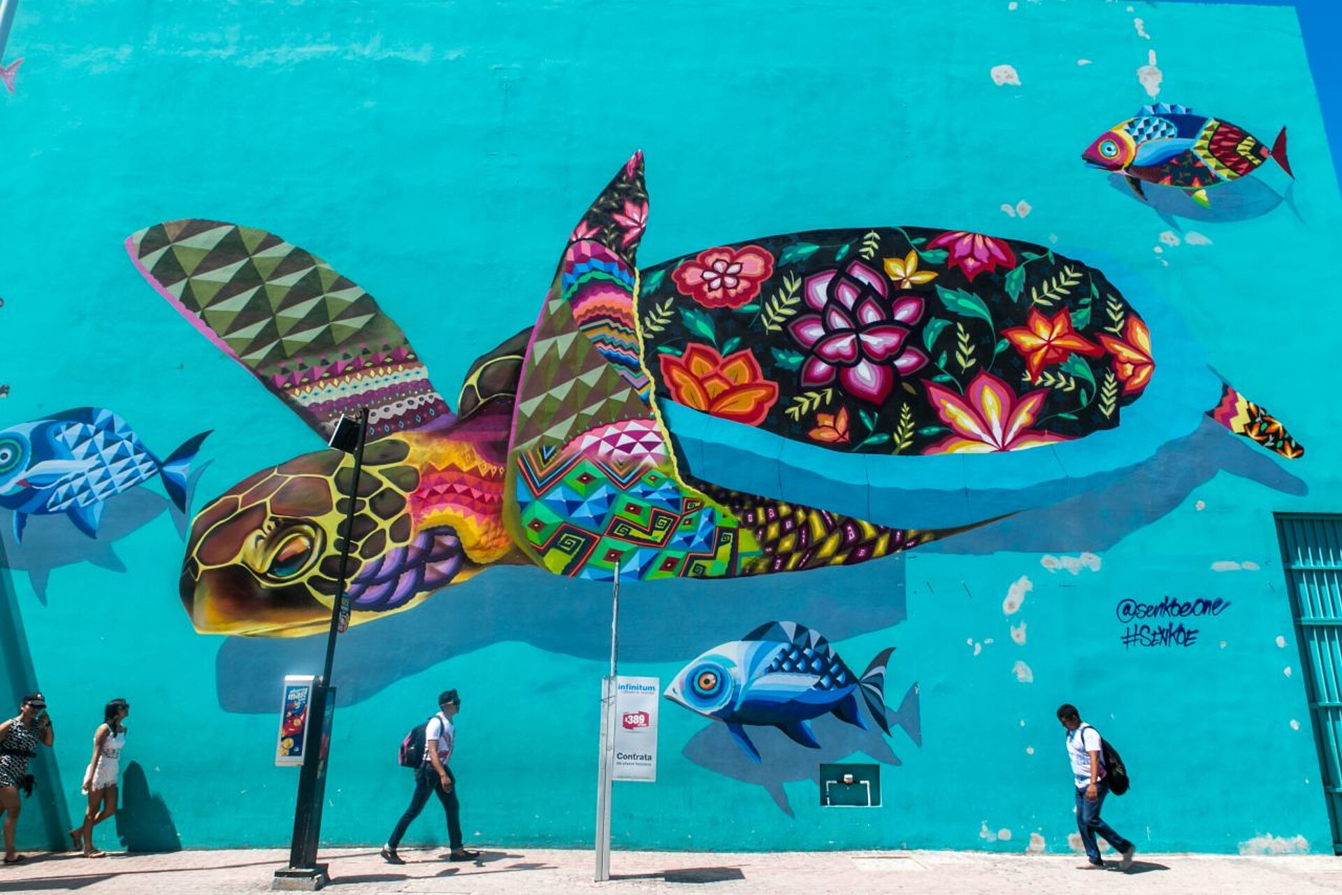 Mexiko Cancun Schildkröten Grafitti