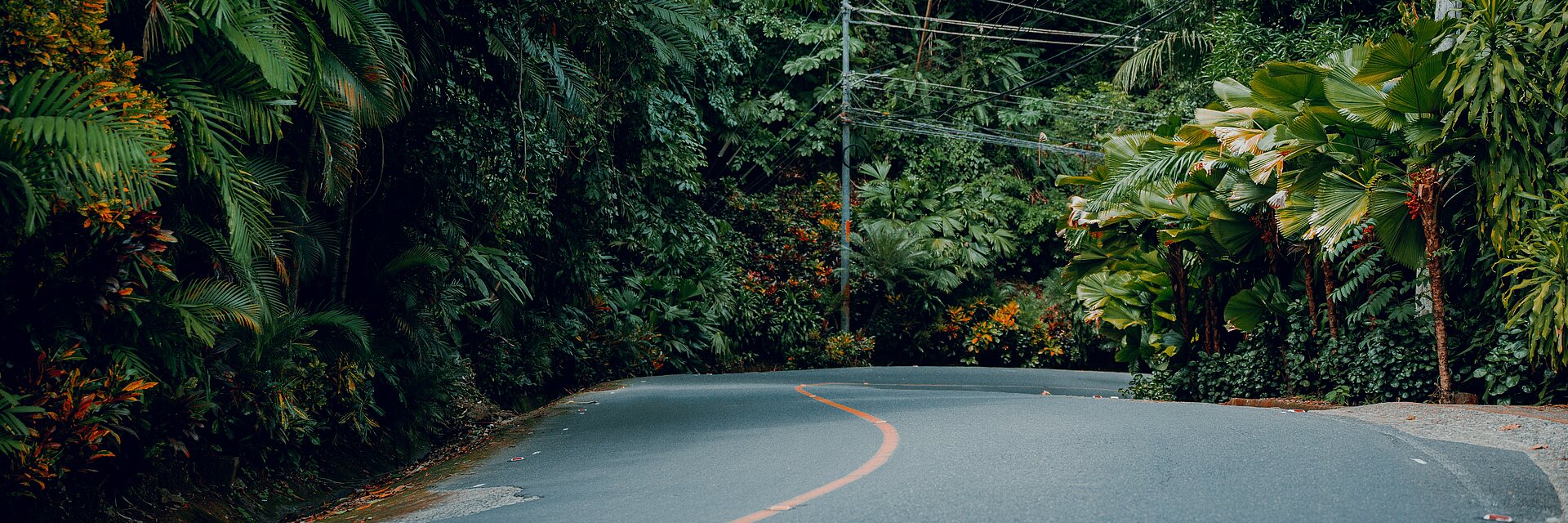 Eine Straße schlängelt sich durch dichte Vegetation in Costa Rica