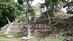 Maya Ruinen zwischen den Bäumen