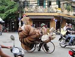 Vietnamese mit Fahrrad vollbehangen mit Körben