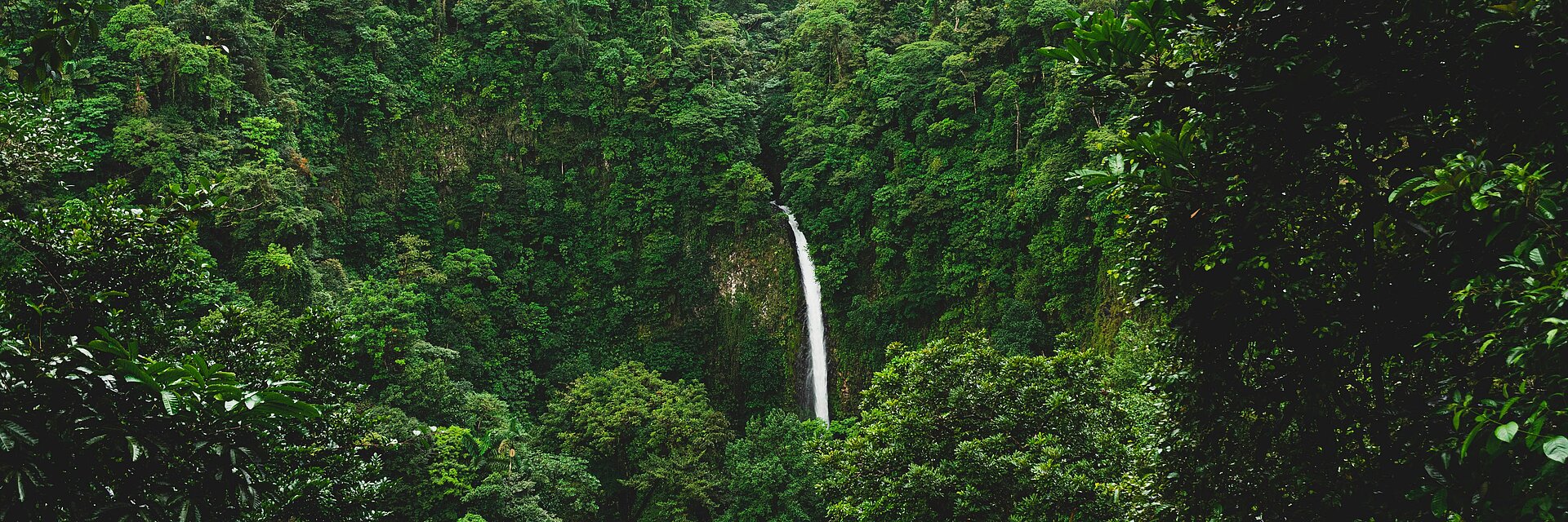 Wasserfall im Herzen von Costa Rica umgeben von Urwald.