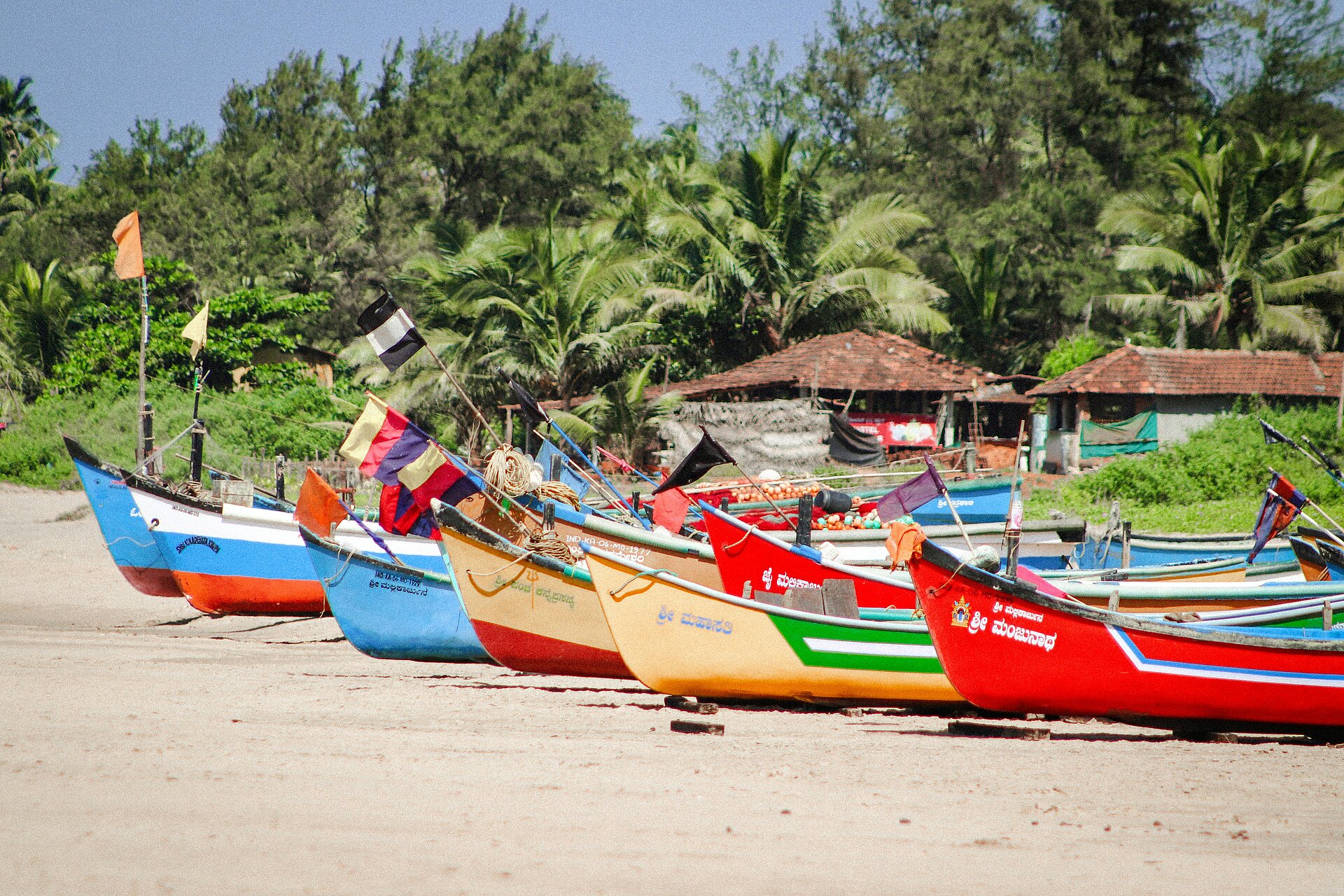 Bunte Fischerboote am Strand von Goa