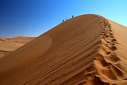 Die beeindruckenden Sanddünen der Namib Wüste, die das Sossusvlei umgeben.