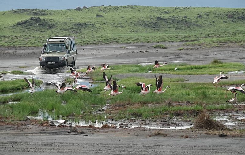 Gruppenreise Tansania - Natur & Kultur