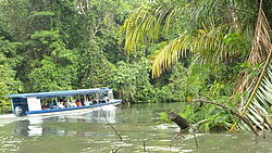 Kanalfahrt im kleinen Boot im Tortuguero Nationalpark