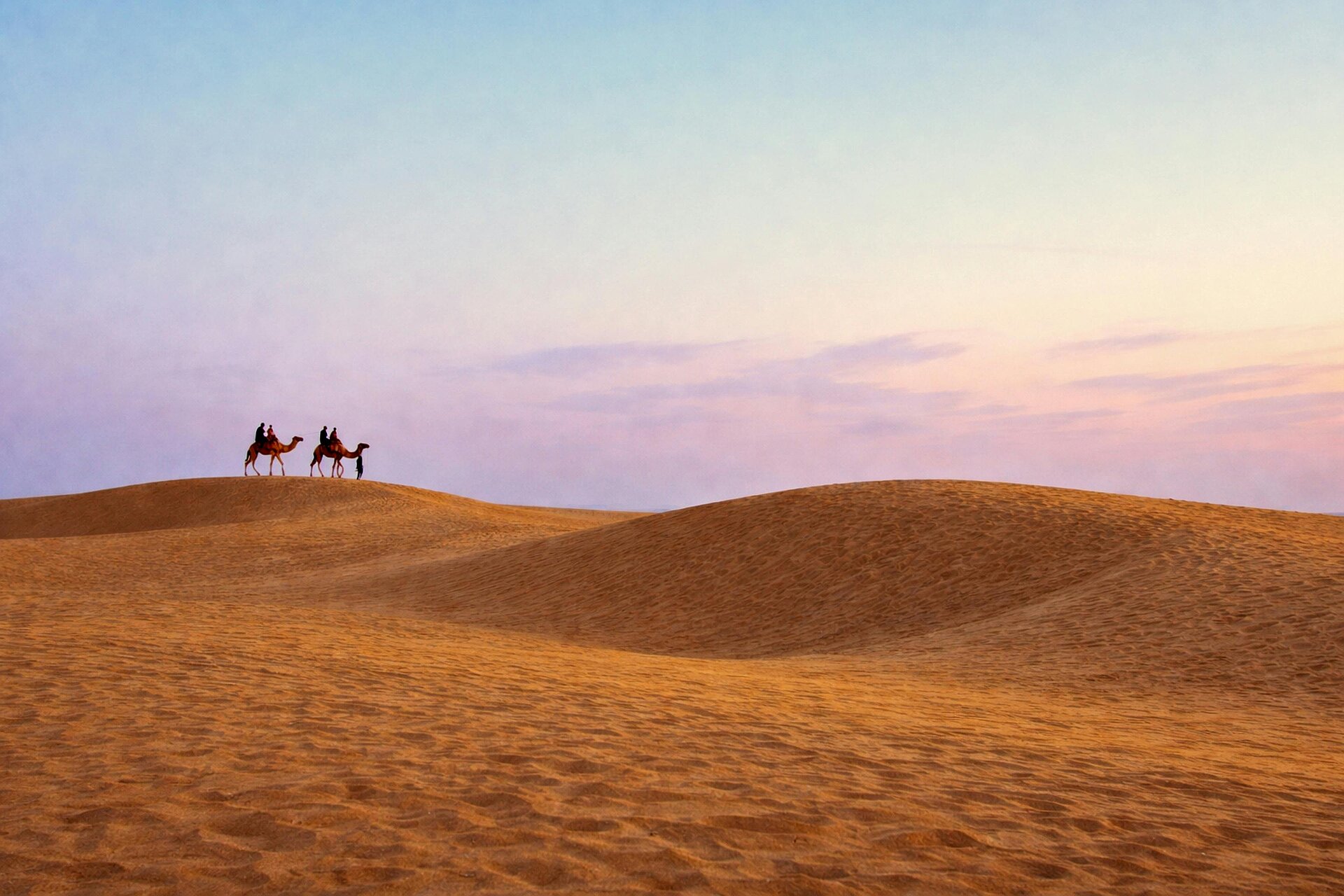 Sonnenuntergang bei den Dünen der Thar-Wüste mit Kamelen im Hintergrund.