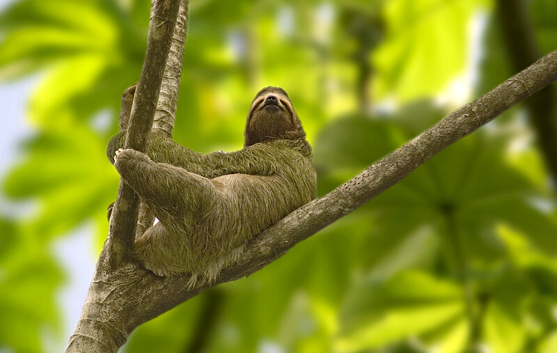 Kleingruppenreise Panama