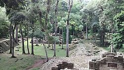 Grünfläche mit Maya-Ruinen und Bäumen 