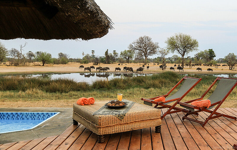Privatreise Simbabwe - Greenseason