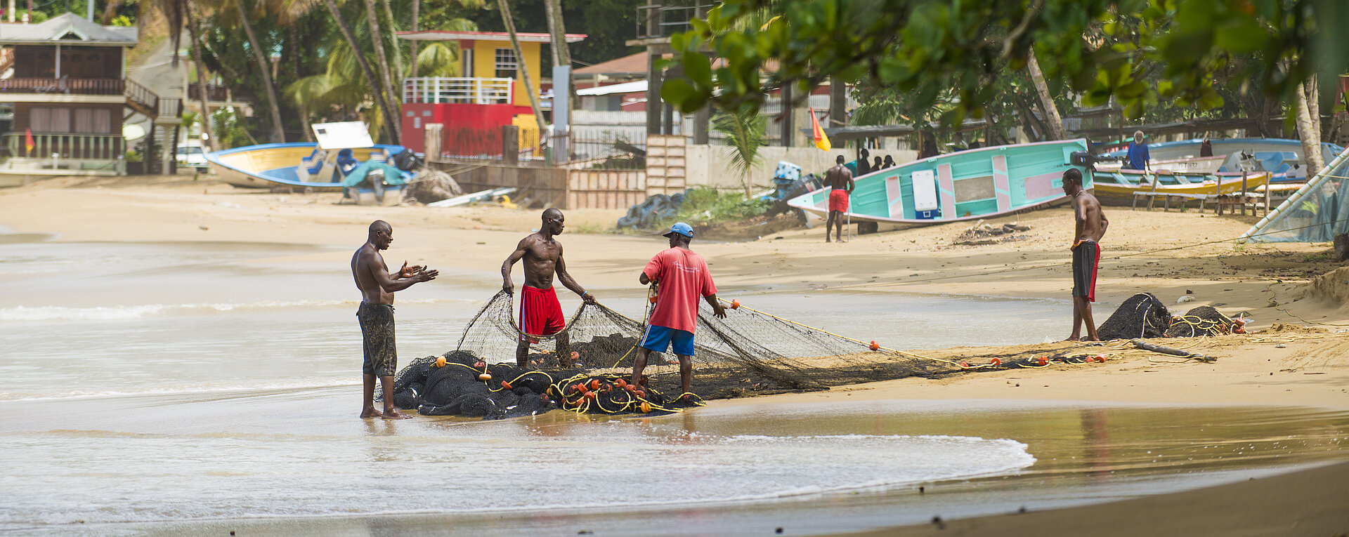 Pulling the Seine Copyright Alex Treadway