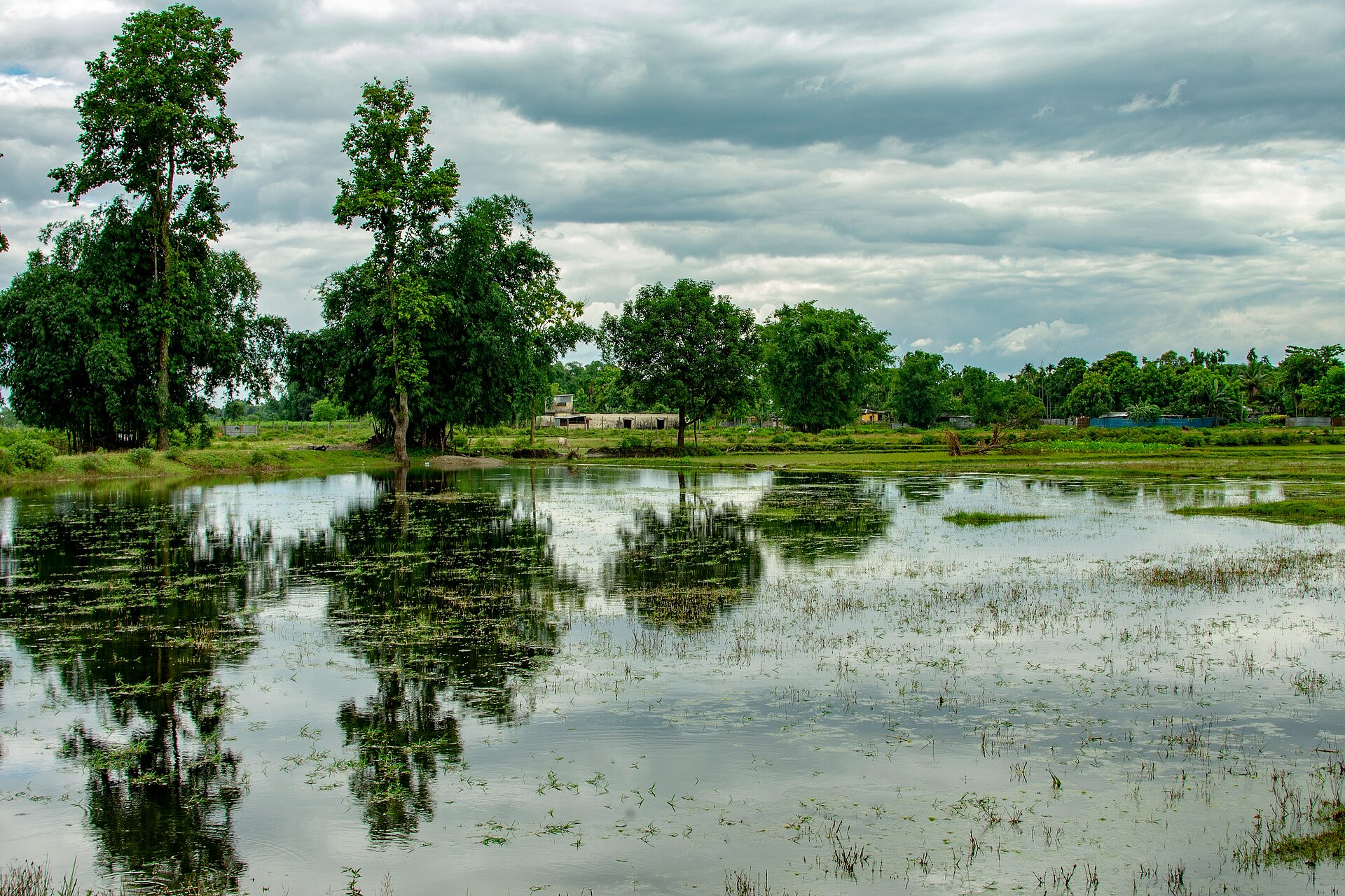 Siliguri