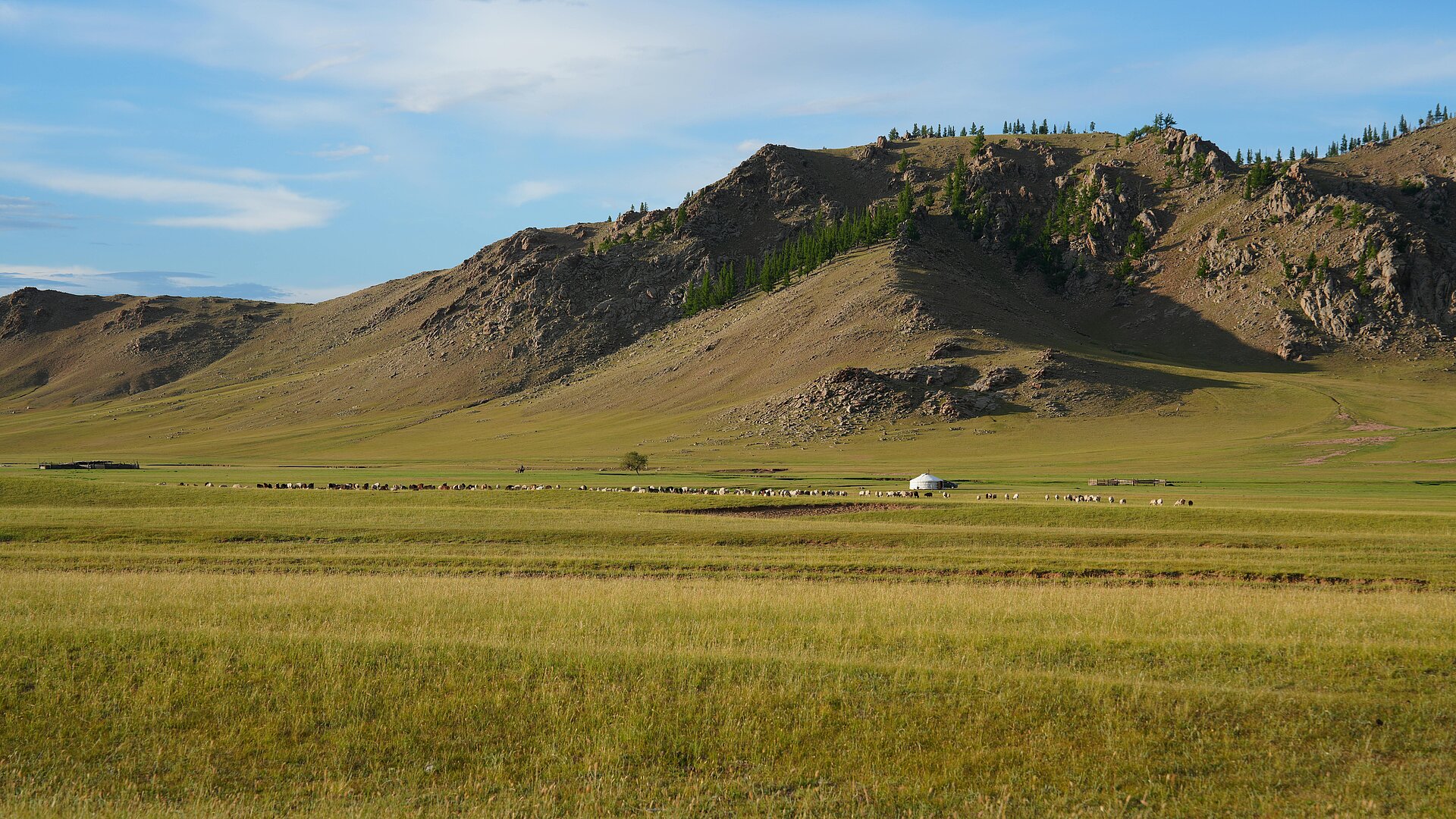 Saftig grünes Gras und Hügellandschaft, in der Ferne ein Ger-Camp in der Mongolei