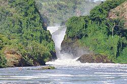 Auf einer Bootsfahrt auf dem Nil fahren Sie nah heran an die enge Schlucht in der sich die Murchsion Wasserfälle hinab stürzen. 