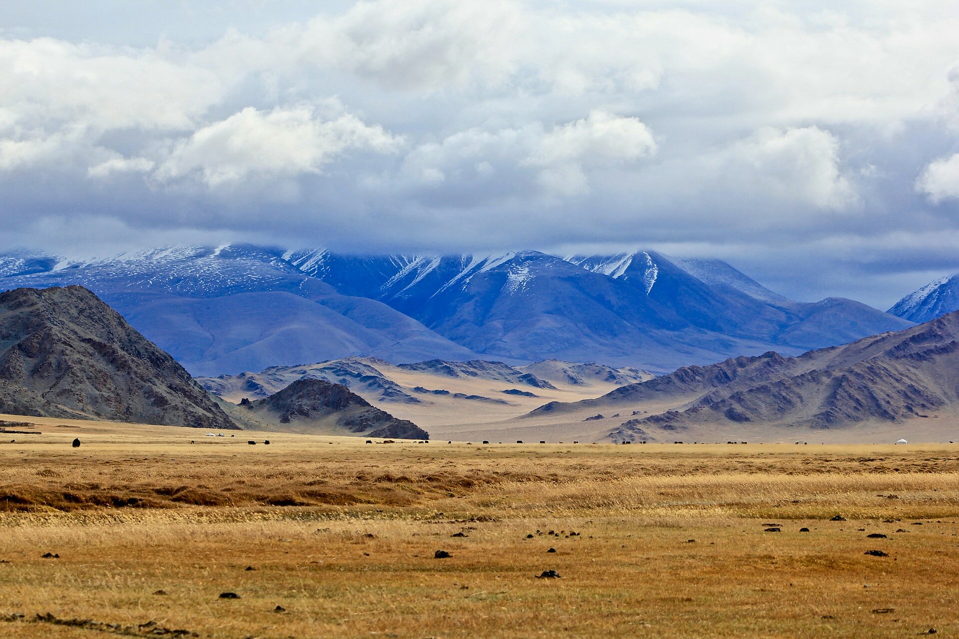 Berge und Steppe - Dramatisches Panorama in der Mongolei