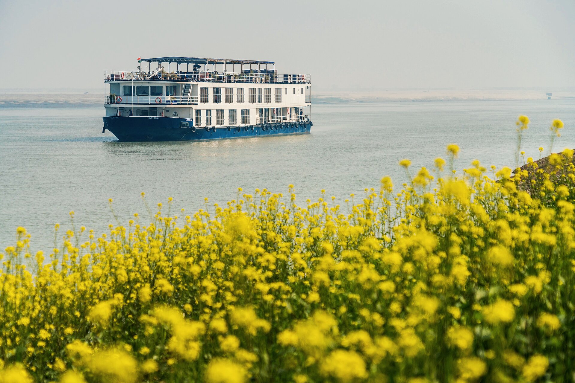 ABN Schiff mit gelben Blumen im Hintergrund