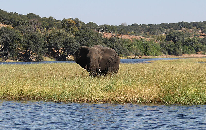 Flugsafari Sambia