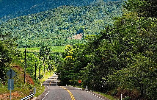 Belize Highway