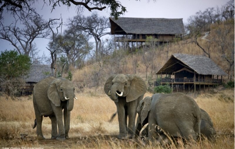 Privatreise Flugsafari 'Tansania - Der Süden'
