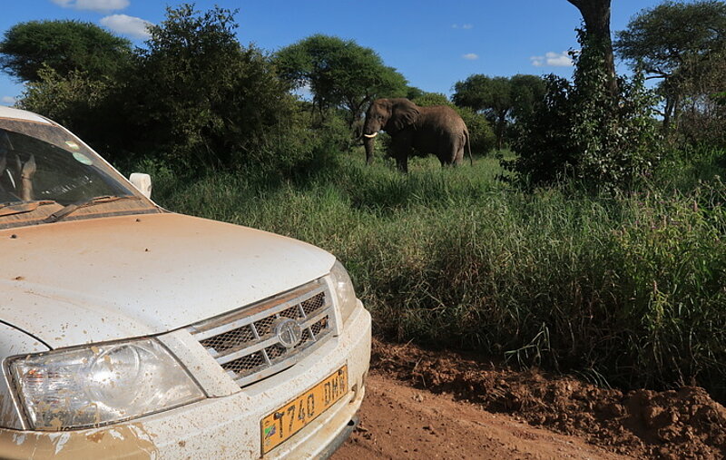 Selbstfahrertour Tansania – Highlights im Norden